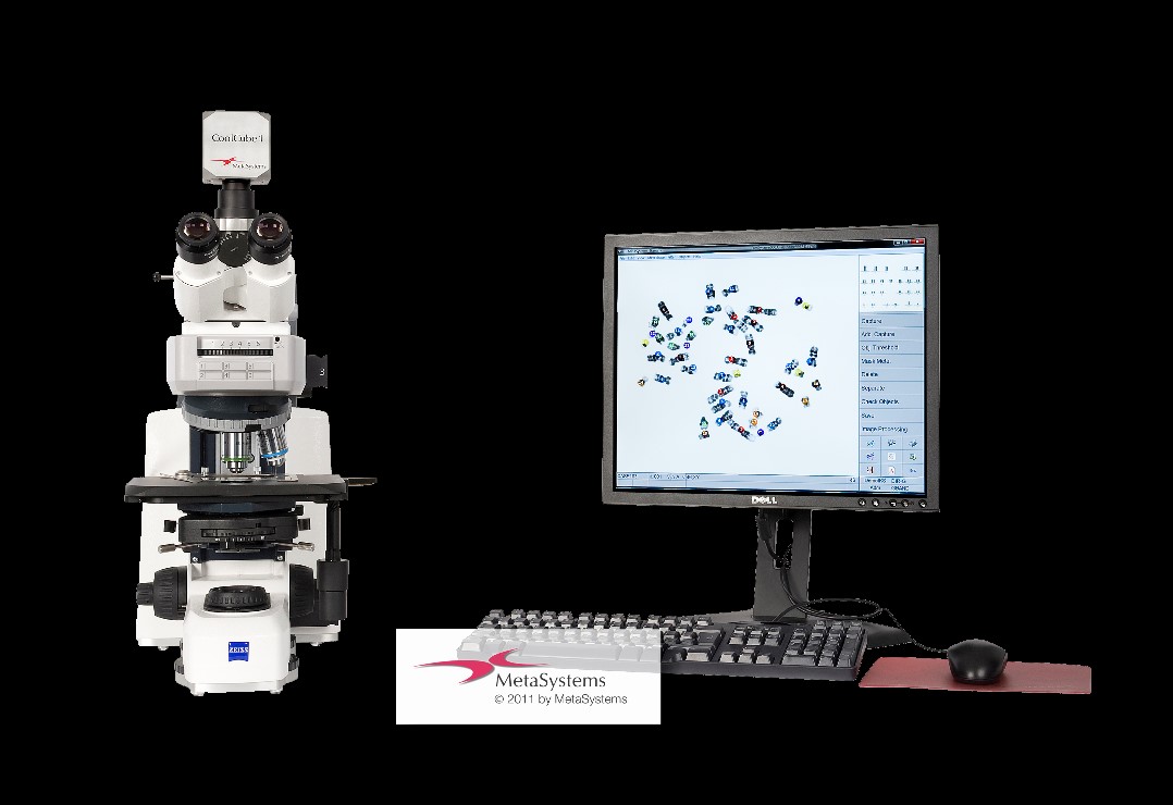 Automated Karyotyping System